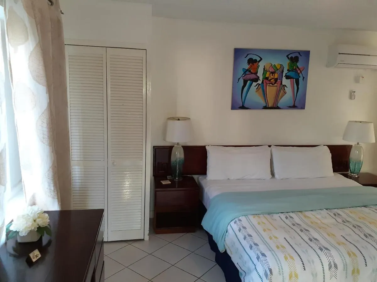 Zander'S Paradise @Mystic Apartment Ocho Rios