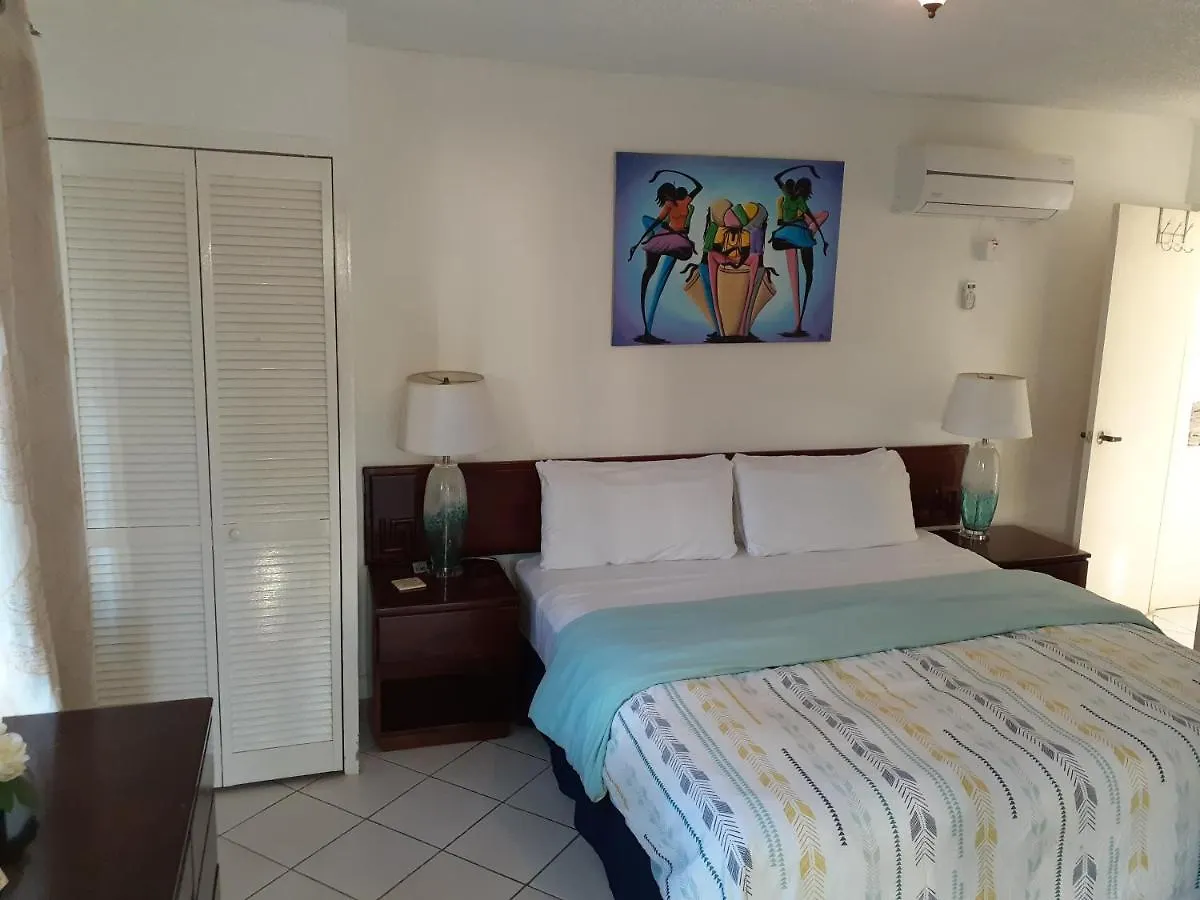 Zander'S Paradise @Mystic Apartment Ocho Rios