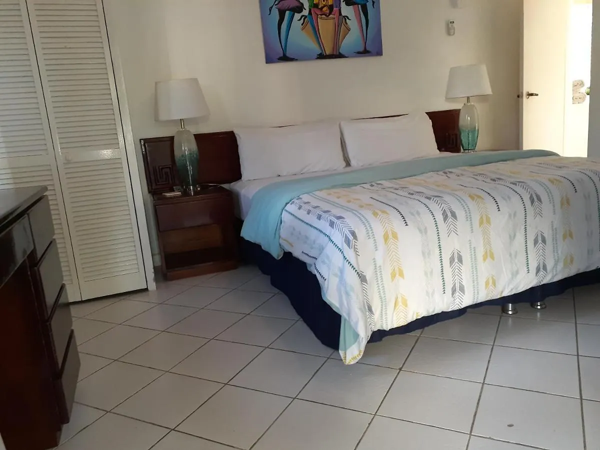 Zander'S Paradise @Mystic Apartment Ocho Rios