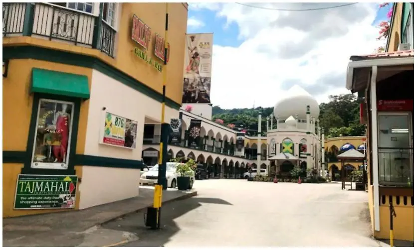 Zander'S Paradise @Mystic Apartment Ocho Rios
